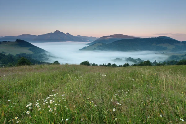 Hermosa zona salvaje en Fatra Eslovaquia — Foto de Stock