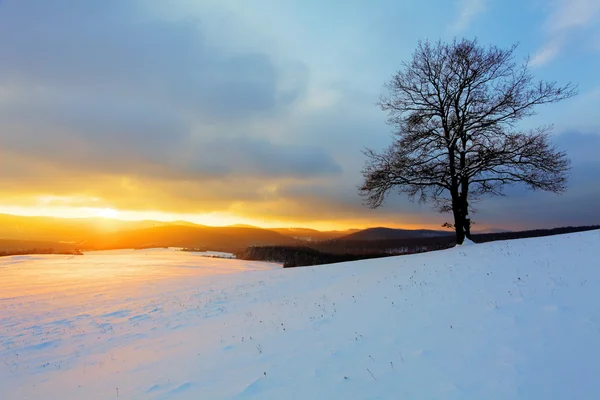 Paesaggio invernale — Foto Stock