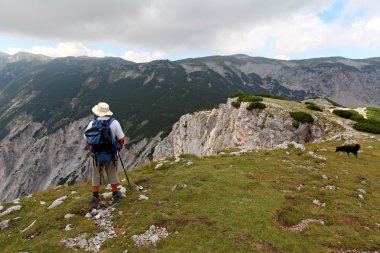 Переглянути на альпійських гірські вершини