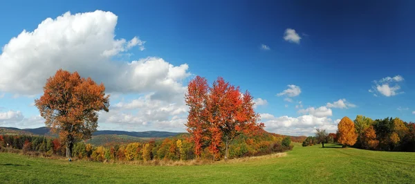 Höstens panorama — Stockfoto