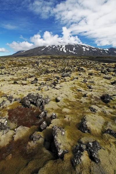 Vulcano in Islanda occidentale con campo di lava - Snaefellsjokull — Foto Stock