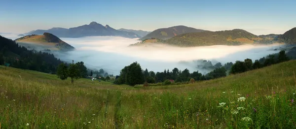 Nádherná divoká oblast — Stock fotografie