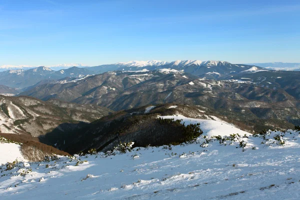 Eslováquia montanha no inverno - Fatras — Fotografia de Stock