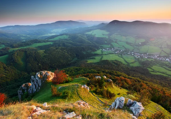 Berge mit grüner Waldlandschaft. — Stockfoto