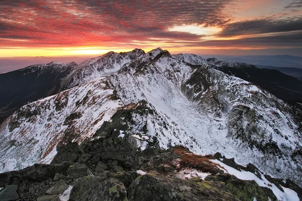Puesta de sol en invierno montañas paisaje con bosque — Foto de Stock