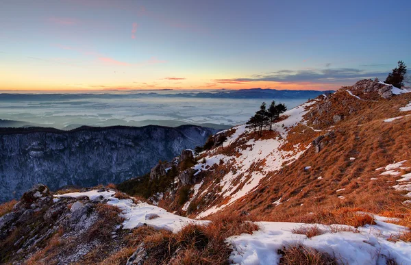 Zonsondergang in de winter bergen landschap met bos — Stockfoto