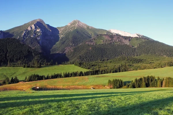 Muntele Slovacia - Tatra — Fotografie, imagine de stoc