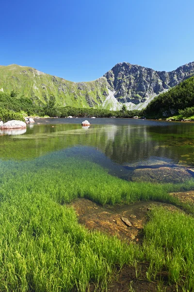 Horské jezero — Stock fotografie