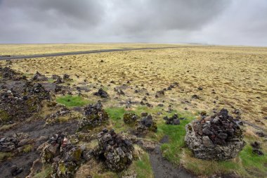 Icelandic moss clipart