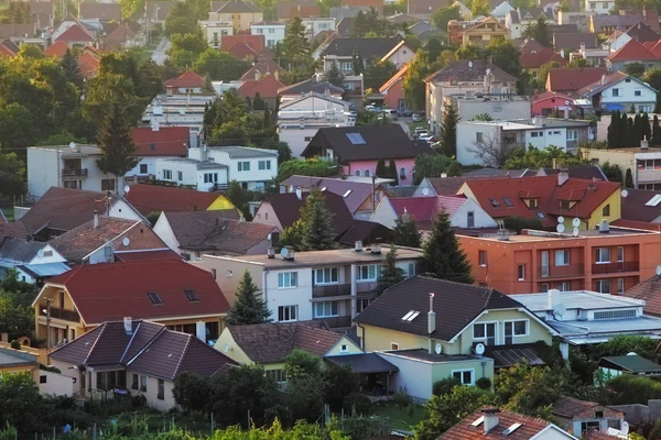 Dorfzifer — Stockfoto