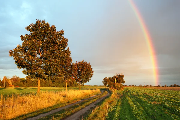 Arco-íris sobre campo — Fotografia de Stock