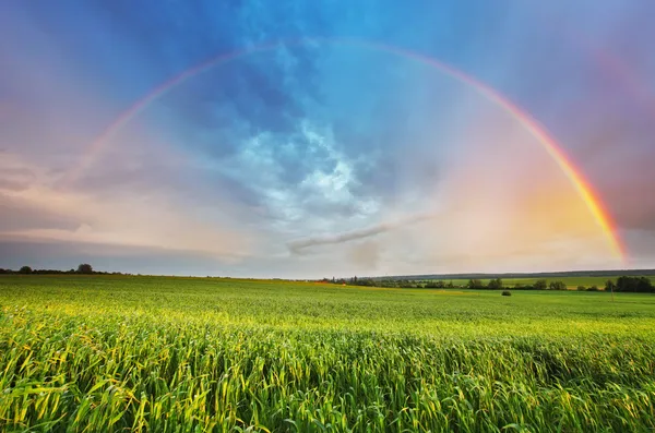 Arco-íris sobre campo de primavera — Fotografia de Stock