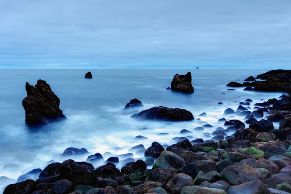 kayalık sahil yakınında reykjanes, İzlanda