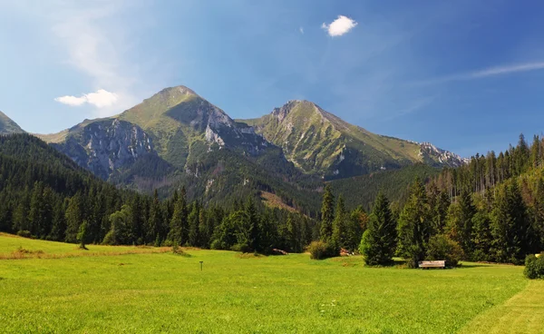 Äng och berg — Stockfoto