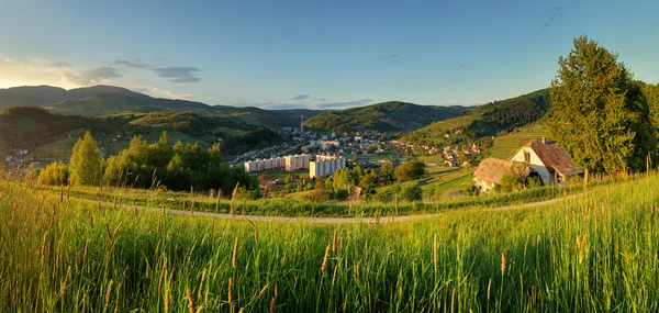 Summer landscape with village, Slovakia — Stock Photo, Image