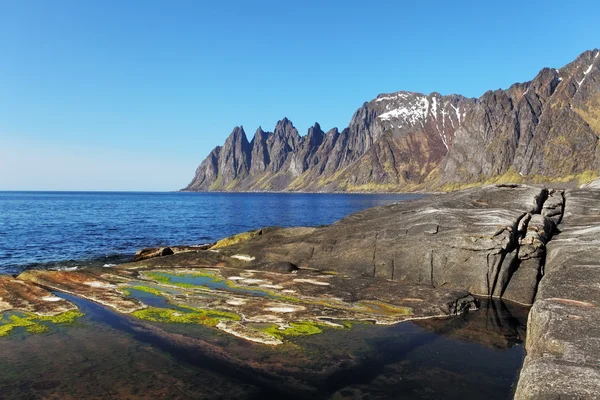 Noorwegen fjord in senja, Noorwegen — Stockfoto