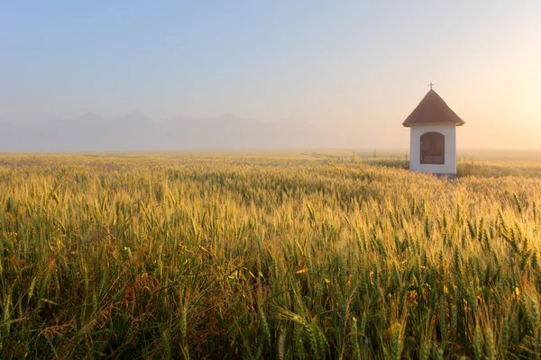 Niebla en campo de trigo con capilla en Eslovaquia Tatras —  Fotos de Stock