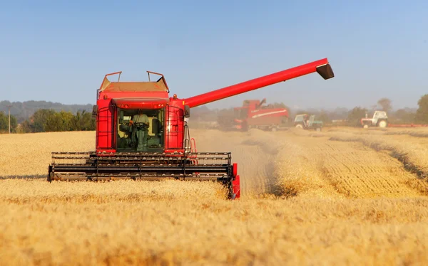 Raccoglitrice su campo di grano — Foto Stock