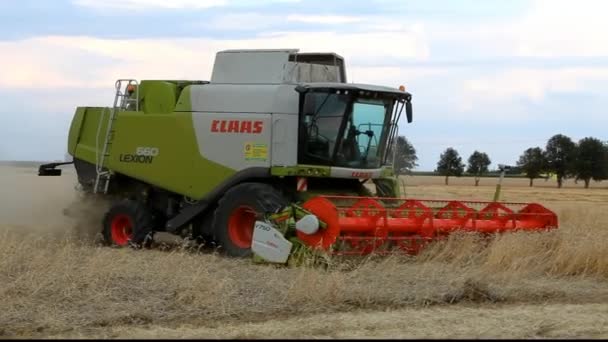 Machine de moissonneuse sur champ de blé — Video