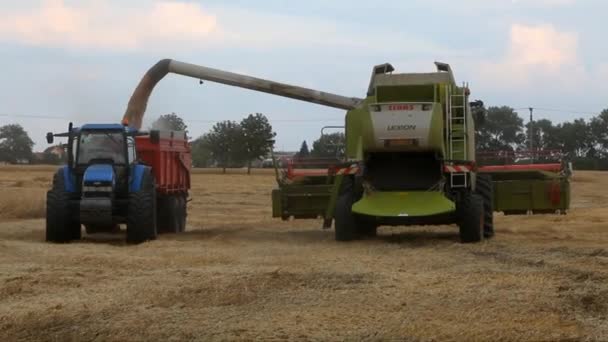 Harvester machine and tractor at harvest — Stock Video