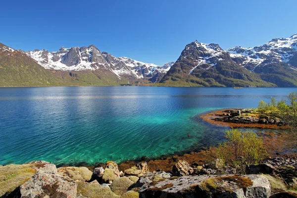 Moutain i jeziora morze landcape w Norwegii — Zdjęcie stockowe