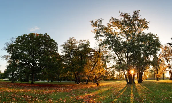 Осенний парк - панорама с солнцем — стоковое фото