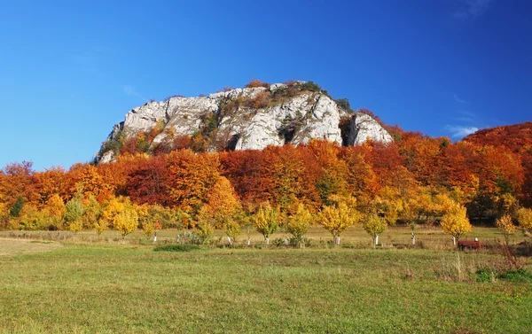 Höstlandskap — Stockfoto