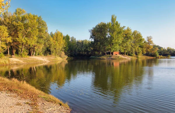 Lac Reflet Avec Arbre Sered Slovaquie — Photo