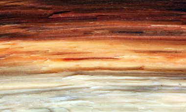 Ahşap dokular. Süper uzun ceviz kalası dokusu. Doku elementi.