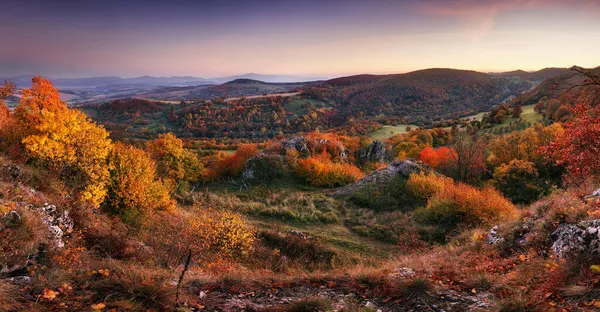 富丽堂皇的五彩斑斓的森林 阳光灿烂 自然公园戏剧化的不寻常场面 红黄相间的秋叶 喀尔巴阡山 斯洛伐克 美丽的世界 — 图库照片