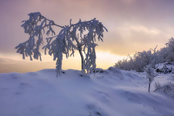 Panorama Solnedgång Färgad Himmel Vinter Snö Moln Slovakien Natur Landskap — Stockfoto