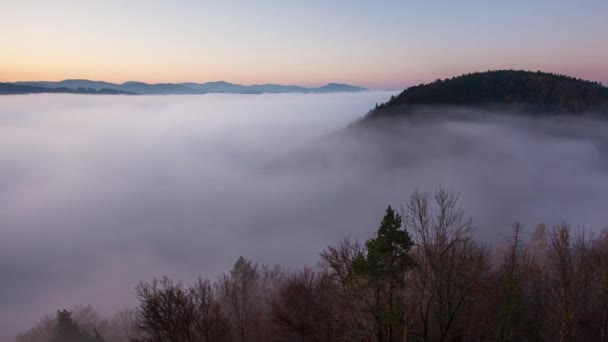 Time Lapse Slovakia Forest Autumn Panorana Landscape Mist Mountain Manin — Stok video