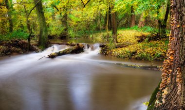 Sonbahar Ormanı Nehir Deresi manzarası. River Creek, sonbahar parkında. Sonbahar Parkı nehir deresi