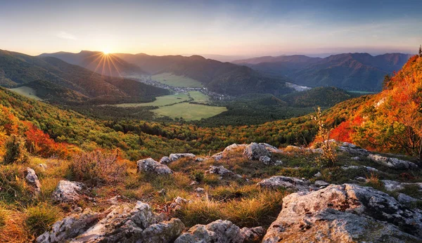 Majestätiska Träd Med Soliga Bjälkar Bergsdalen Dramatisk Och Pittoresk Morgonscen — Stockfoto