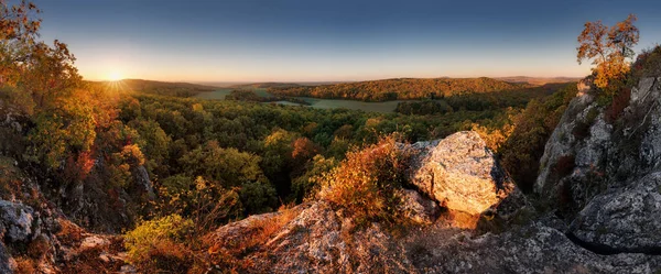 Arany Fák Ősszel Panorámás Kilátás — Stock Fotó