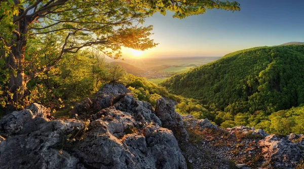 Panorama Del Bosque Montaña Atardecer Eslovaquia — Foto de Stock