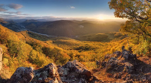 Árvores Cobertas Folhas Amarelas Escarlate Que Cai Luz Quente Sol — Fotografia de Stock