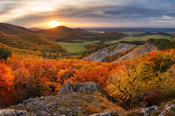 山の谷で日当たりの良いビームを持つ雄大な木 劇的で絵のような朝のシーン 赤と黄色の葉 暖かいトーニング効果 カルパティア スロバキア — ストック写真