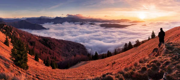 Πρωινή Πανόραμα Ήλιο Όμορφα Χνουδωτά Σύννεφα Και Δάσος Στο Βουνό — Φωτογραφία Αρχείου