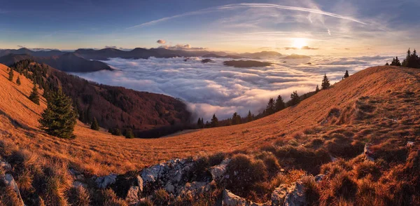 Morgon Sol Panorama Vackra Fluffiga Moln Och Skog Berget Lysec — Stockfoto