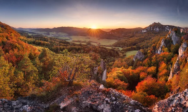 Güneşli ışınları olan görkemli parçacıklı orman. Doğal park. Dramatik sıradışı sahne. Kırmızı ve sarı sonbahar yaprakları. Karpatlar, Slovakya - Avrupa. Güzellik dünyası.