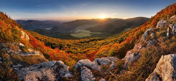 Arbres Majestueux Avec Des Poutres Ensoleillées Vallée Montagne Scène Matinale Photos De Stock Libres De Droits