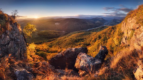 Mountain Autumn Forest Landcape Nice Panoramic View Peak — Stock Photo, Image