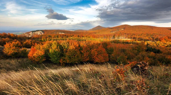 Naturaleza Otoño Montaña Con Paisaje Forestal —  Fotos de Stock