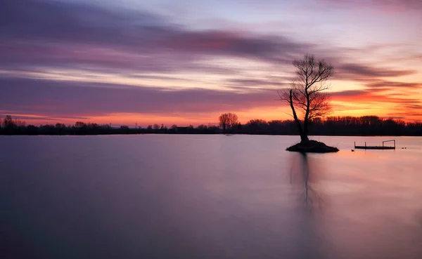 Pond Sunset Silhouette Tree Water Landscape — Stock Photo, Image