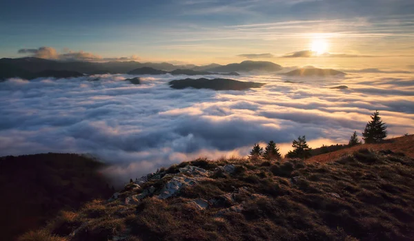 Niebla Del Mar Luz Rosa Muy Hermosa Fabulosa Pintoresca Ola — Foto de Stock