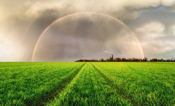 彩虹掠过绿茵带路的草地 — 图库照片