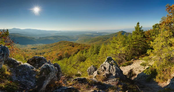 Güneşli Orman Panorama Manzarası — Stok fotoğraf