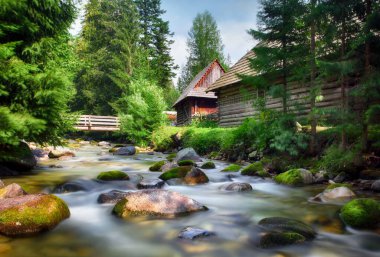 Summer view of wooden folk house located in forests  museum Skanzen of Orava Village, Zuberec, Slovakia. Orava Skanzen