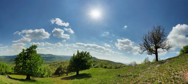 Panorama Sun Green Tree Mountain Landscape — Stock Fotó